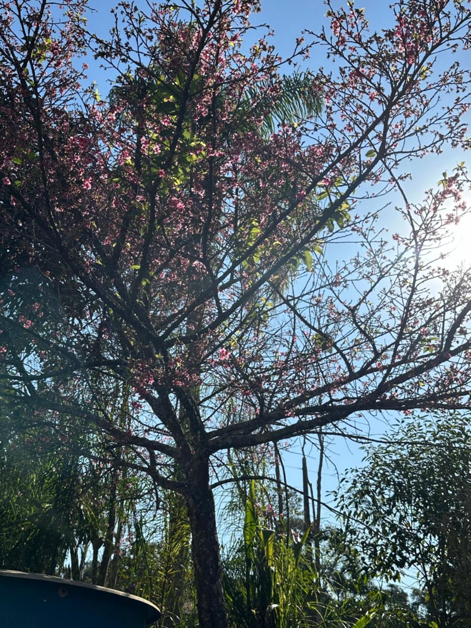 Morada Dos Beija-Flores Ibiúna 外观 照片